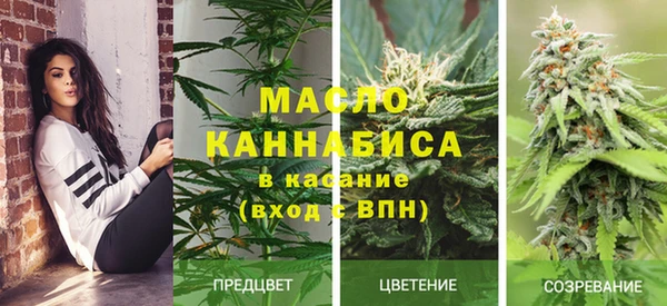 дживик Осинники