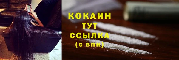 дживик Осинники