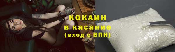 дживик Осинники