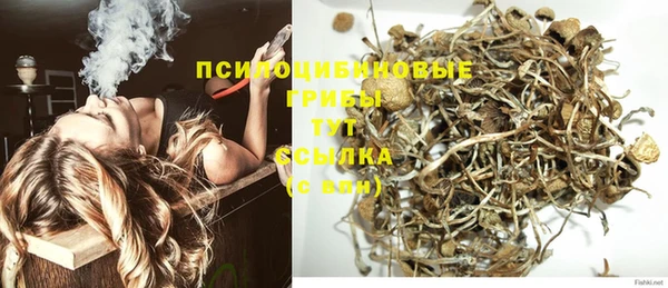 бутират Нягань
